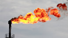 Cop28 Host UAE Breaking Its Own Ban On Routine Gas Flaring, Data Shows